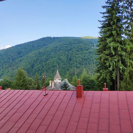 Cozy Loft At Teleferic Apartment Синая Екстериор снимка